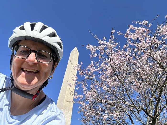 cherry blossoms by bike